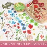 110+ PCS Dried Flowers for Resin Art