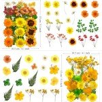 88Pcs Yellow Dried Flowers for Resin Art