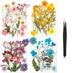 Pressed Dried Flowers for Resin Art Crafts