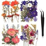 Pressed Dried Flowers for Resin Art and Crafts