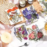 Pressed Dried Flowers for Resin Art and Crafts