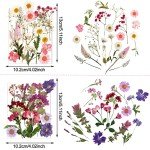 Pressed Dried Flowers for Resin Art Crafts