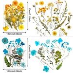 Pressed Dried Flowers for Resin Art Crafts