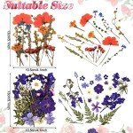 Pressed Dried Flowers for Resin Art and Crafts