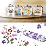 Pressed Dried Flowers for Resin Art Crafts