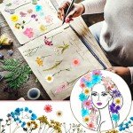 Pressed Dried Flowers for Resin Art Crafts