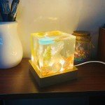 LED Resin Cube Molds with Wooden Light Base
