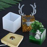 LED Resin Cube Molds with Wooden Light Base