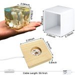 LED Resin Cube Molds with Wooden Light Base