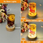 LED Resin Mold with Wooden Light Stand