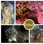 White Alcohol Ink Set for Resin Art