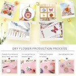 75Pcs Dried Flowers and Butterflies for Resin Art