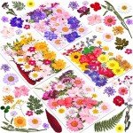 140 Pcs Dried Pressed Flowers for Resin Art