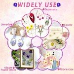 140 Pcs Dried Pressed Flowers for Resin Art