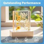 Beginner's Epoxy Resin Kit – Clear & Glossy 7.6oz