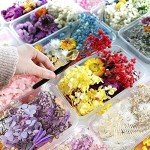 Colorful Dried Flowers for Resin Jewelry Molds