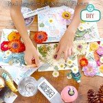 Colorful Dried Flowers for Resin Jewelry Molds