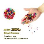 CellLuck UV Resin Jewelry Making Kit with Accessories