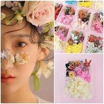 Colorful Dried Flowers for Resin Jewelry Molds