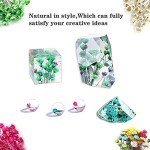 CellLuck UV Resin Jewelry Making Kit with Accessories