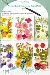 Colorful Dried Flowers for Resin Jewelry Molds