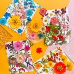 72Pcs Pressed Dried Flowers for Resin Art