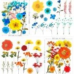 72Pcs Pressed Dried Flowers for Resin Art