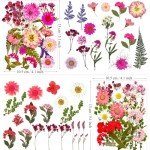 72Pcs Pressed Dried Flowers for Resin Art