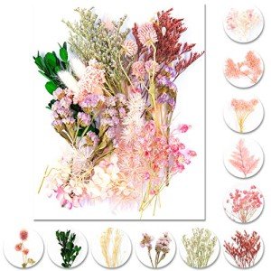 Vignee Dried Pressed Leaf Flowers for Resin Art