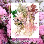 Vignee Dried Pressed Leaf Flowers for Resin Art