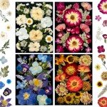 Pressed Dried Flowers for Resin Art - 92 Pcs