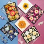 Pressed Dried Flowers for Resin Art - 92 Pcs