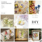 Pressed Dried Flowers for Resin Art - 92 Pcs