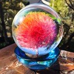 8pcs Silicone Sphere Resin Molds for Crafting