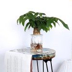 Fuerlun 14-Inch Round Resin Mold with Legs