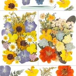 58PCS Dried Pressed Flowers for Resin Art