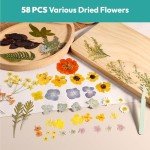 58PCS Dried Pressed Flowers for Resin Art