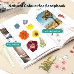 58PCS Dried Pressed Flowers for Resin Art