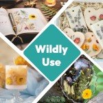 58PCS Dried Pressed Flowers for Resin Art