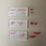 3D Bat & Dragonfly Nail Art Molds Set