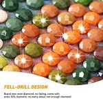 Colorful 5D Diamond Painting Kit for Adults
