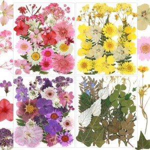 104 Pcs Dried Flowers for Resin Art Projects
