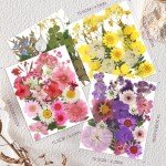 104 Pcs Dried Flowers for Resin Art Projects