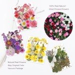 104 Pcs Dried Flowers for Resin Art Projects