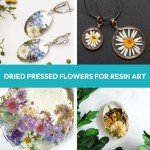 100Pcs Dried Pressed Flowers for Resin Art