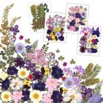 100Pcs Dried Pressed Flowers for Resin Art