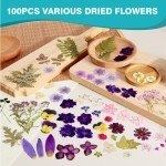 100Pcs Dried Pressed Flowers for Resin Art