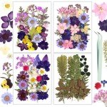 100Pcs Dried Pressed Flowers for Resin Art