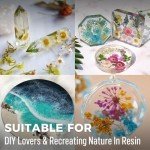 Crystal Clear Epoxy Resin Kit - 34 OZ