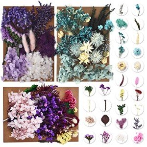 3 Pack Dried Pressed Leaf Flowers for Resin Art